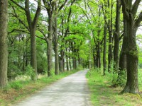 /album/fotogalerie-cyklistickou-naucnou-stezkou-okolo-trebone/okolo-trebone333-jpg/